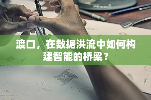 渡口，在数据洪流中如何构建智能的桥梁？