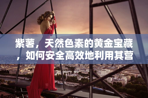 紫薯，天然色素的黄金宝藏，如何安全高效地利用其营养价值？