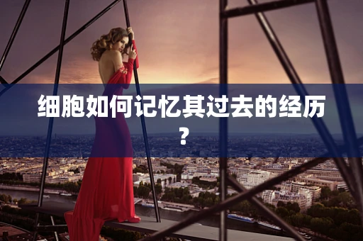 细胞如何记忆其过去的经历？