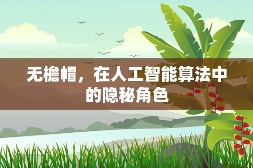 无檐帽，在人工智能算法中的隐秘角色