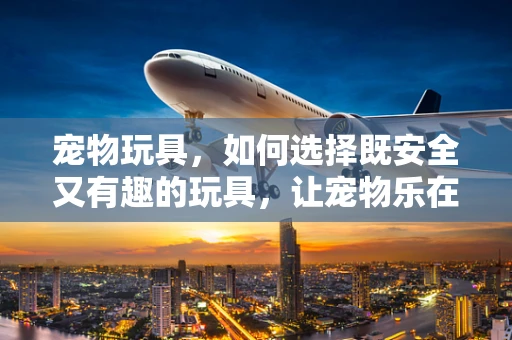 宠物玩具，如何选择既安全又有趣的玩具，让宠物乐在其中？