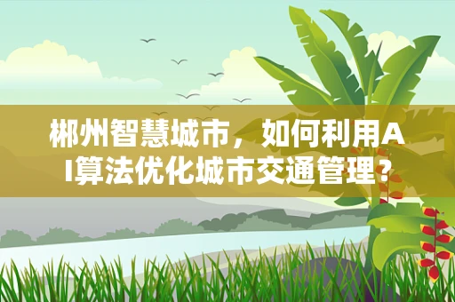 郴州智慧城市，如何利用AI算法优化城市交通管理？