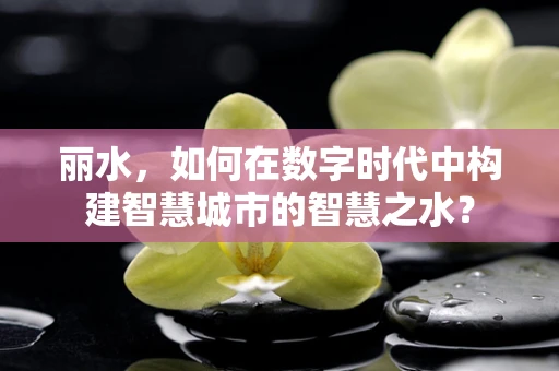 丽水，如何在数字时代中构建智慧城市的智慧之水？