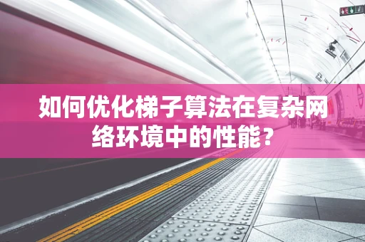 如何优化梯子算法在复杂网络环境中的性能？