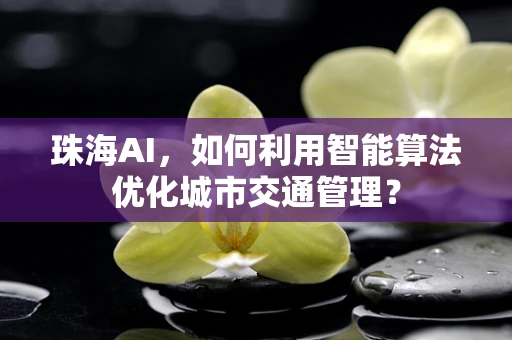 珠海AI，如何利用智能算法优化城市交通管理？
