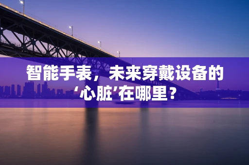 智能手表，未来穿戴设备的‘心脏’在哪里？