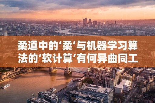 柔道中的‘柔’与机器学习算法的‘软计算’有何异曲同工之处？