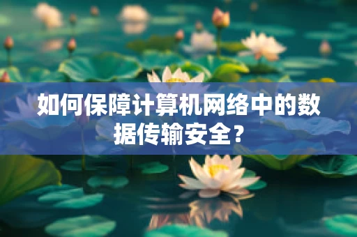 如何保障计算机网络中的数据传输安全？