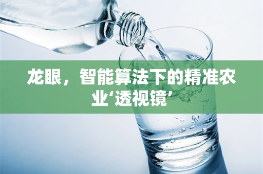 龙眼，智能算法下的精准农业‘透视镜’