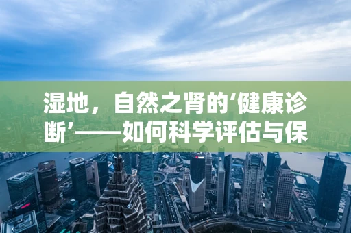湿地，自然之肾的‘健康诊断’——如何科学评估与保护？