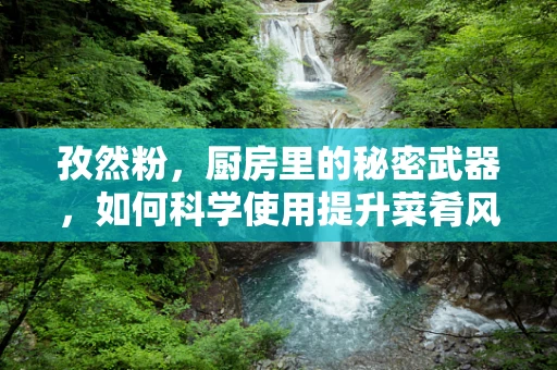 孜然粉，厨房里的秘密武器，如何科学使用提升菜肴风味？