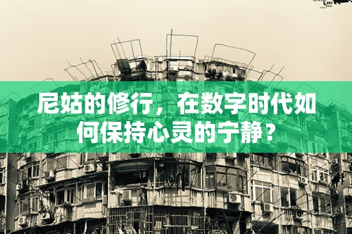 尼姑的修行，在数字时代如何保持心灵的宁静？