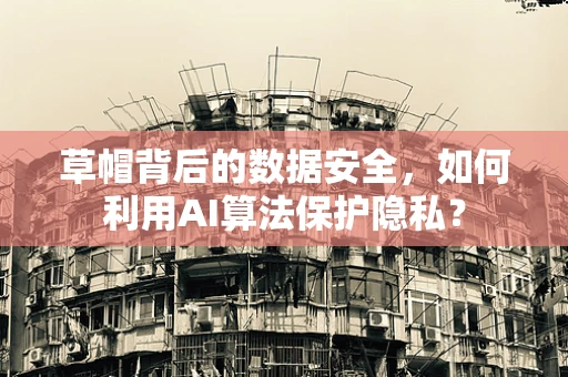 草帽背后的数据安全，如何利用AI算法保护隐私？