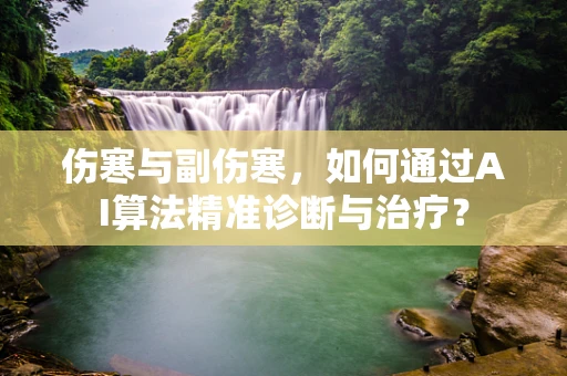 伤寒与副伤寒，如何通过AI算法精准诊断与治疗？