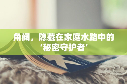 角阀，隐藏在家庭水路中的‘秘密守护者’
