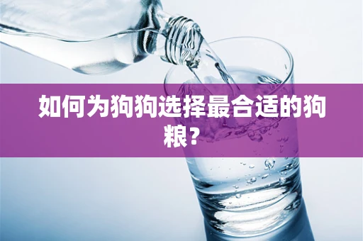 如何为狗狗选择最合适的狗粮？