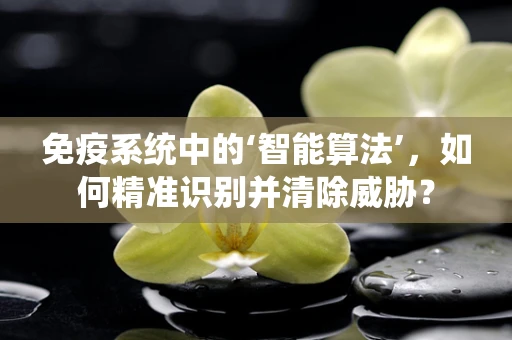 免疫系统中的‘智能算法’，如何精准识别并清除威胁？