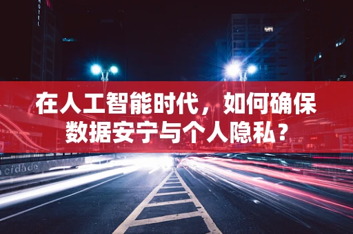 在人工智能时代，如何确保数据安宁与个人隐私？