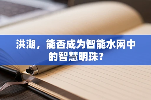 洪湖，能否成为智能水网中的智慧明珠？