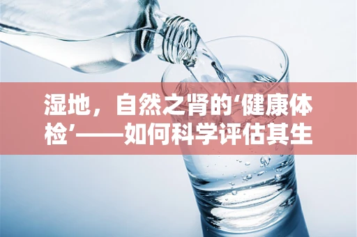 湿地，自然之肾的‘健康体检’——如何科学评估其生态价值与保护需求？