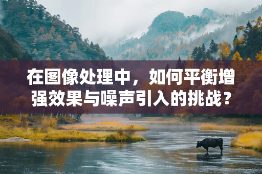 在图像处理中，如何平衡增强效果与噪声引入的挑战？
