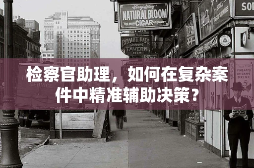 检察官助理，如何在复杂案件中精准辅助决策？