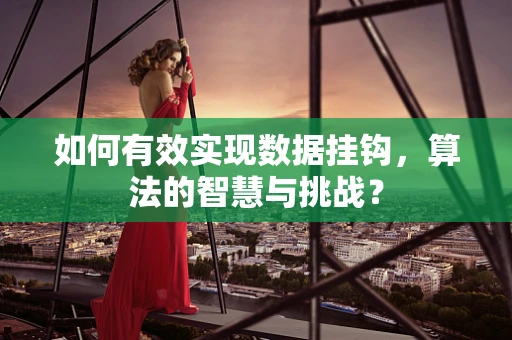 如何有效实现数据挂钩，算法的智慧与挑战？