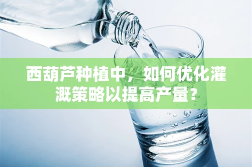 西葫芦种植中，如何优化灌溉策略以提高产量？