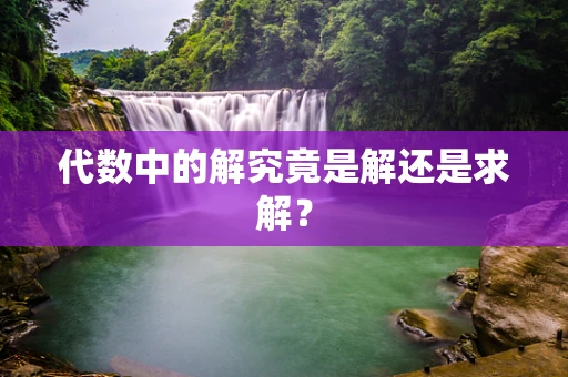 代数中的解究竟是解还是求解？