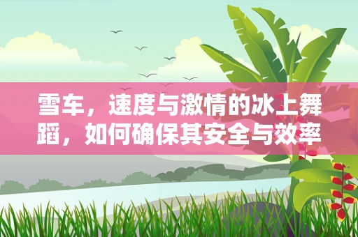 雪车，速度与激情的冰上舞蹈，如何确保其安全与效率？
