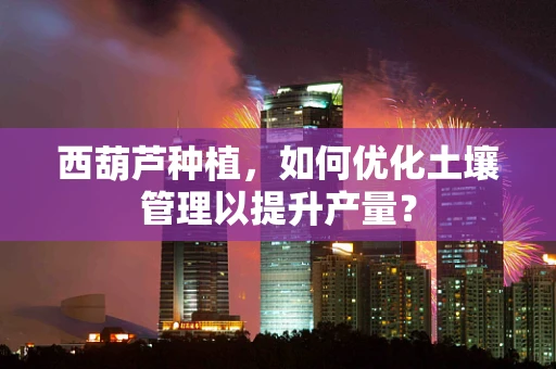 西葫芦种植，如何优化土壤管理以提升产量？