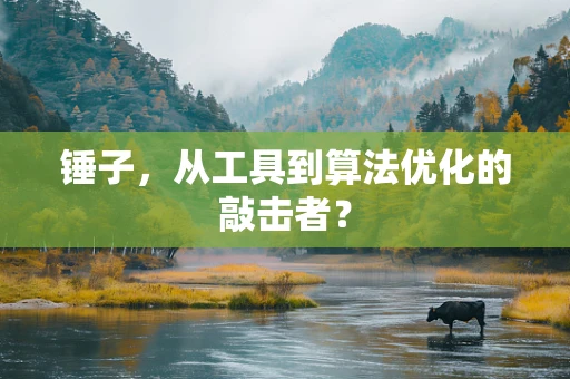锤子，从工具到算法优化的敲击者？