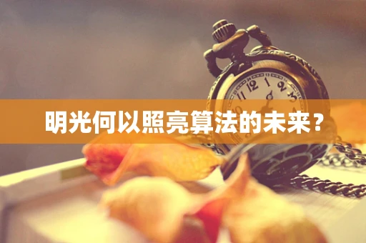 明光何以照亮算法的未来？