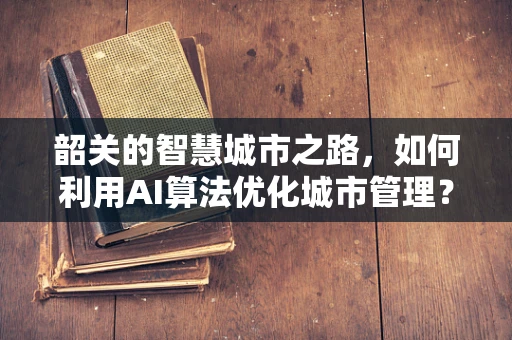 韶关的智慧城市之路，如何利用AI算法优化城市管理？