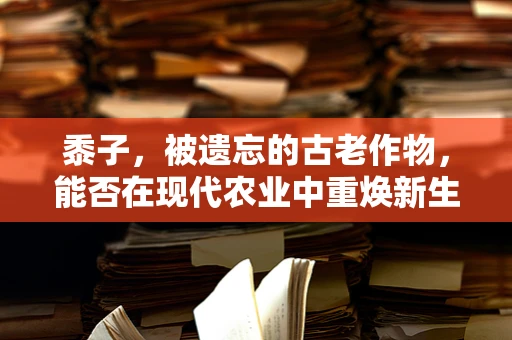 黍子，被遗忘的古老作物，能否在现代农业中重焕新生？