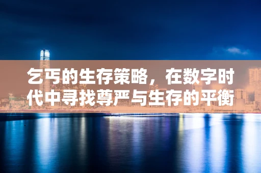 乞丐的生存策略，在数字时代中寻找尊严与生存的平衡？