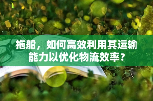 拖船，如何高效利用其运输能力以优化物流效率？