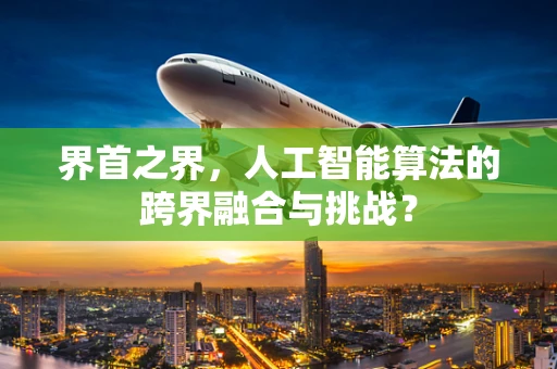 界首之界，人工智能算法的跨界融合与挑战？