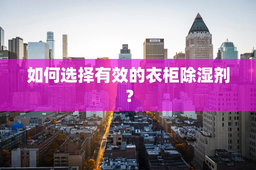 如何选择有效的衣柜除湿剂？