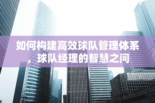 如何构建高效球队管理体系，球队经理的智慧之问