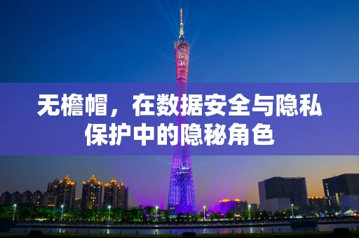 无檐帽，在数据安全与隐私保护中的隐秘角色