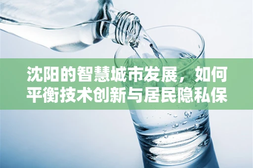 沈阳的智慧城市发展，如何平衡技术创新与居民隐私保护？