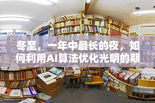 冬至，一年中最长的夜，如何利用AI算法优化光明的期待？