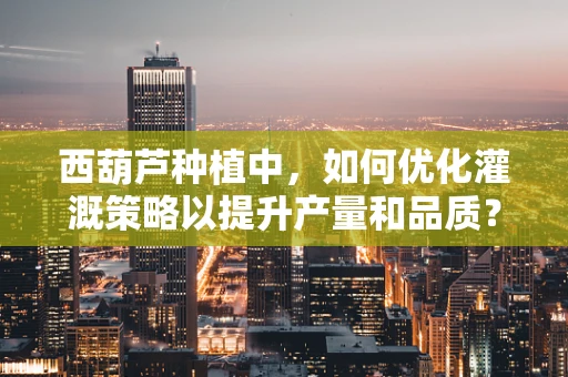 西葫芦种植中，如何优化灌溉策略以提升产量和品质？