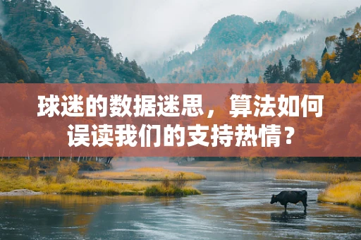 球迷的数据迷思，算法如何误读我们的支持热情？
