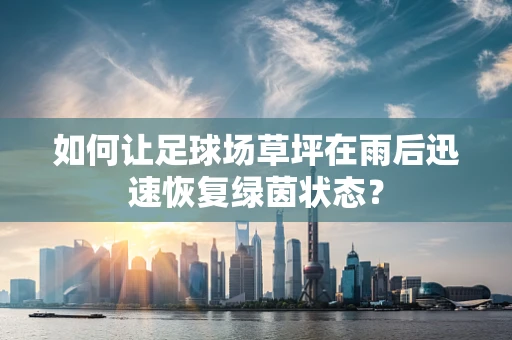 如何让足球场草坪在雨后迅速恢复绿茵状态？