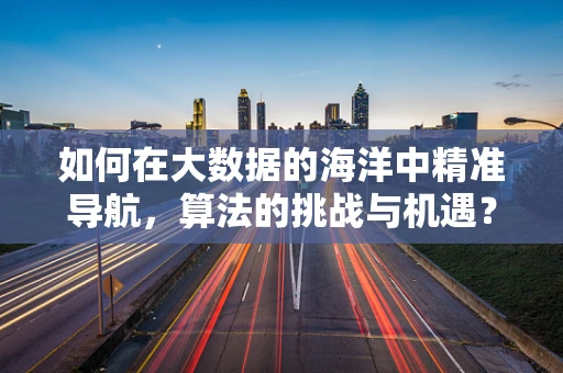 如何在大数据的海洋中精准导航，算法的挑战与机遇？