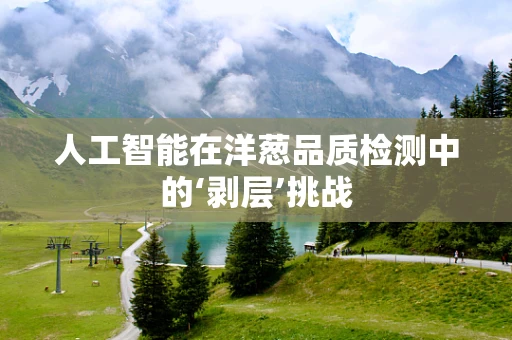 人工智能在洋葱品质检测中的‘剥层’挑战