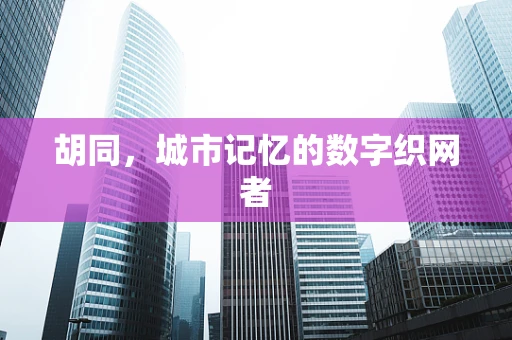 胡同，城市记忆的数字织网者