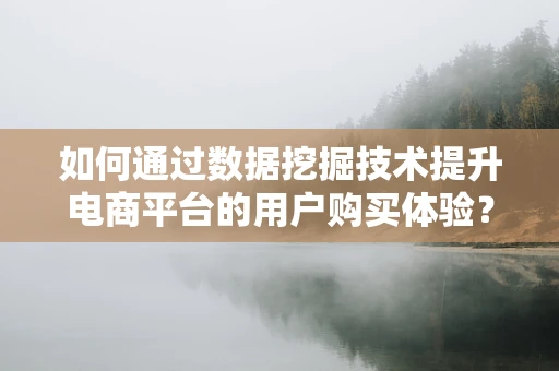 如何通过数据挖掘技术提升电商平台的用户购买体验？